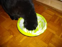 IMGP4599.webp