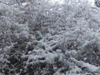 BILD8702.webp