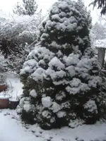 BILD8703.webp
