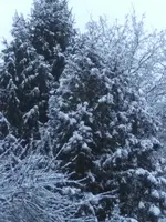 BILD8707.webp