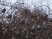 BILD8696.webp