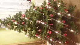151392577073832074360.webp
