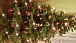 2017-12-22 10.31.37.jpg