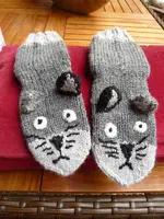 Katzen.webp