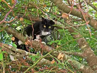IMG_2759 v (2).webp