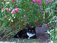 IMG_2848 v (2).webp