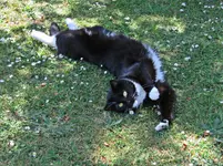 IMG_2837 - Copy.JPG