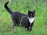 IMG_2370 v (2).webp