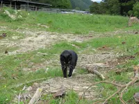 IMG_2400 v (2).webp