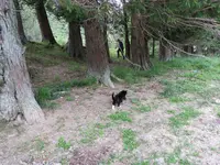 IMG_2454 v  (2).webp