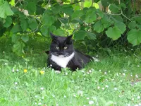 IMG_2470 v (2).webp