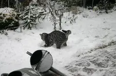 Jan.0210.webp