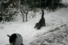 Jan.0410.webp