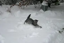 Jan.2310a.webp