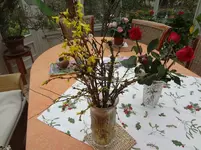 DSC02532.webp