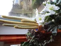 DSC02529.webp