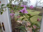 DSC02534.JPG