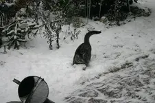 Jan.0310.webp