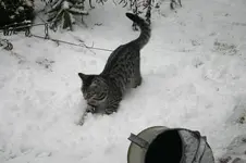 Jan.0710.webp