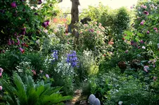 IMG_3027.webp