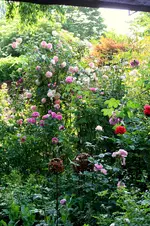 IMG_3029.JPG