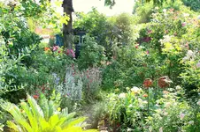 IMG_3425.JPG