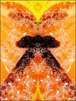 c026.webp