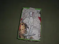 a1.JPG