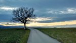 IMG_20171223_161428587_HDR.jpg