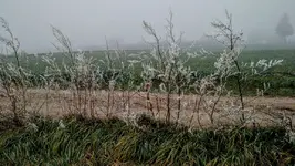 IMG_20171226_160320755.jpg