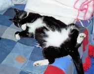 M bei L im Zi.webp