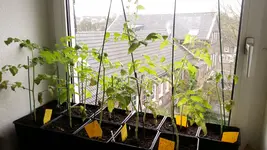 20171227_132123.webp