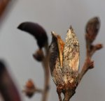 image012.jpg