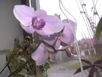 BILD8686.webp