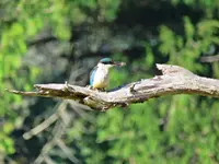 IMG_3700v.jpg