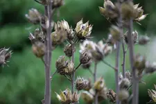 IMG_0054[1].jpg