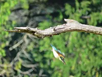 IMG_3701v (2).webp