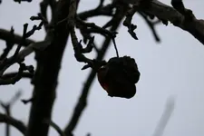 IMG_0051.jpg