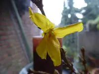 P1080424.webp