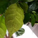 20171229_141157.webp