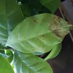20171229_125816.webp