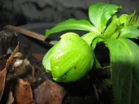006_1024x768.JPG