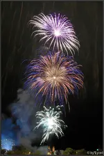 c020.webp