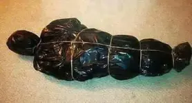 IMG-20171231-WA0001.webp