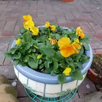 20180101_151842.webp