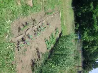 BILD3020.webp