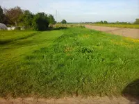 IMG-20170517-WA0006.webp