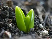 image001.webp