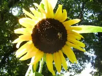 BILD7820.webp