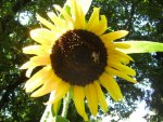 BILD7820.JPG